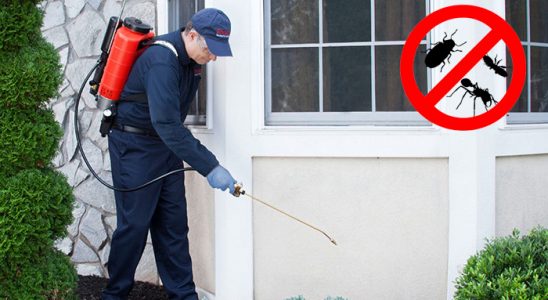 Sarıyer Bit İlaçlama böcek ilaçlama ve haşere kontrolü — ilaclama-tr.com